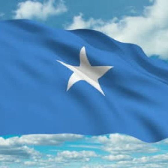 Meet your Posher, Zakariah - Picture 1 of 1